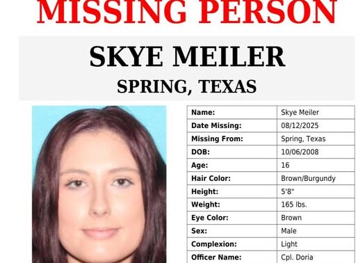 16-Year-Old Skye Meiler