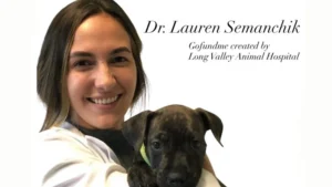 Dr. Lauren Semanchik death